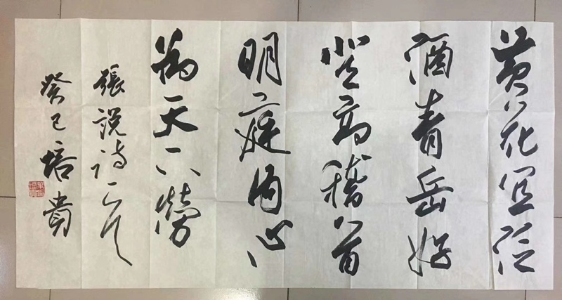 叶培贵.中国书协副主席｜作品定制插图1