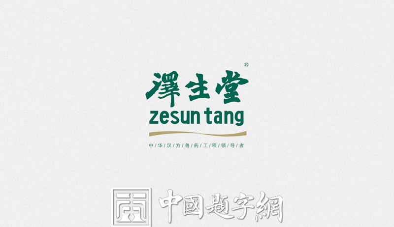 魏碑书法名家韩进水为中药公司题匾【泽生堂】插图3