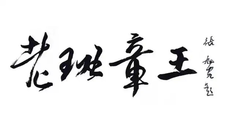 张旭光.著名书法家/擅长草书插图2