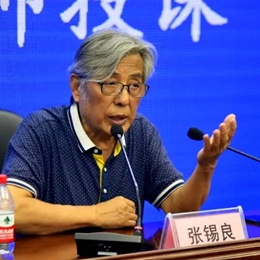 张锡良.书法名家/中书协会员/评委