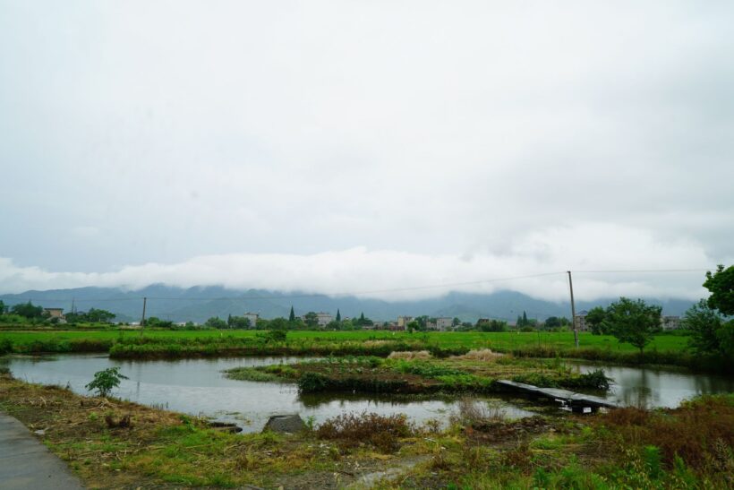 6c90e3f9c928e259b269c3b85e314191