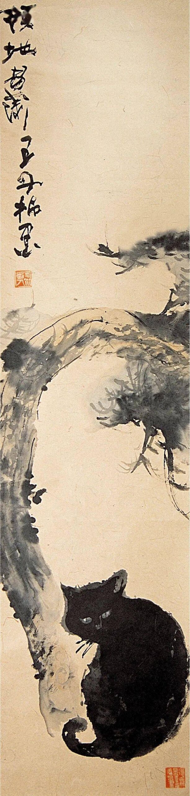 92ddbbc02ced421480115c4fcbe22053