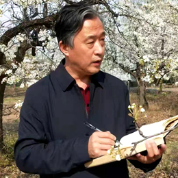 吴景砚.尤擅花鸟画的书画名家｜作品定制