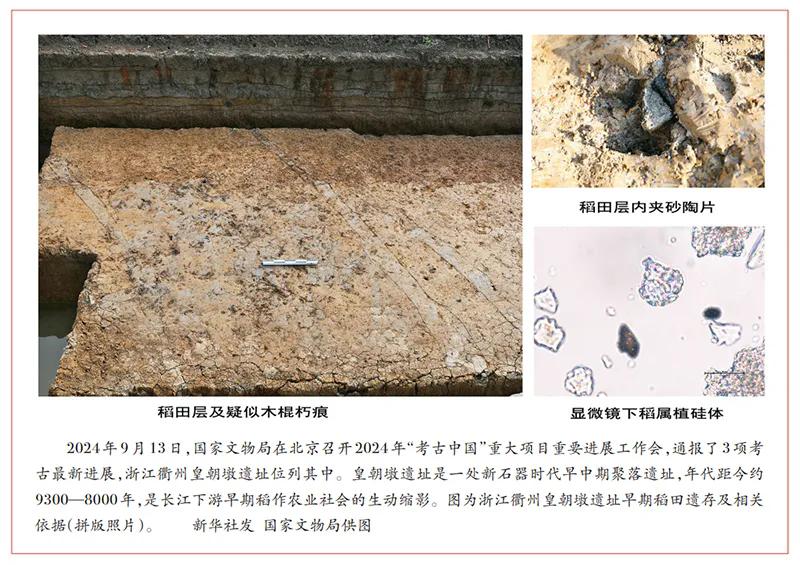 c995d143ad4bd11341c58d261603c4004afb05d0.jpeg@f_auto