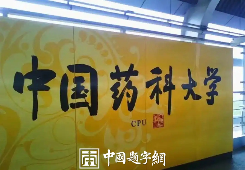 人文景观题字|中书协主席孙晓云为老家南京题写地铁站名插图6 人文景观题字|中书协主席孙晓云为老家南京题写地铁站名插图6