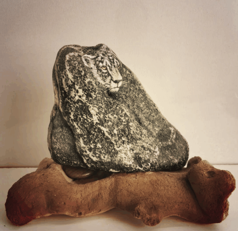 0811bbe63e87bed2af4200b34524e524