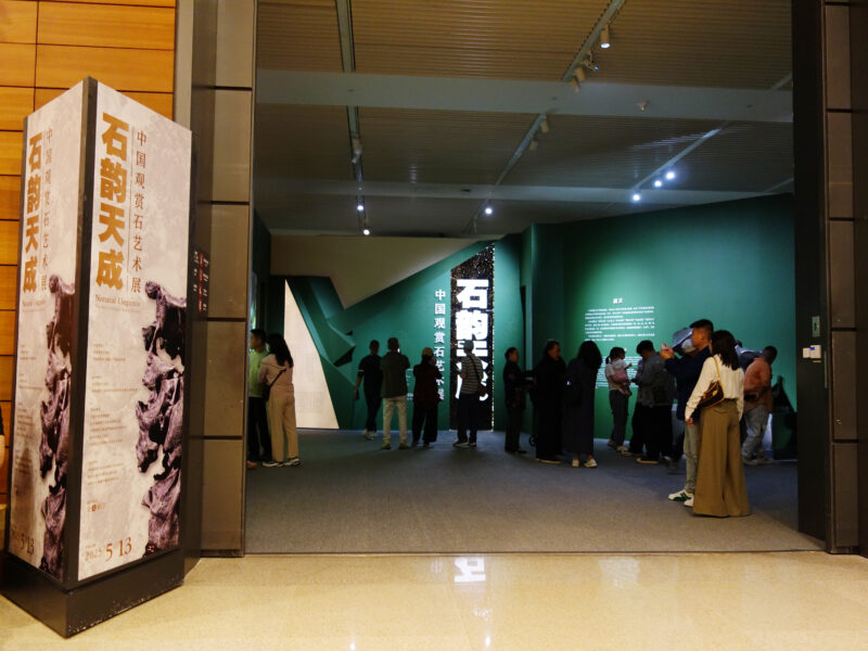 国博奇石展启幕，珍稀熊猫石惊艳亮相