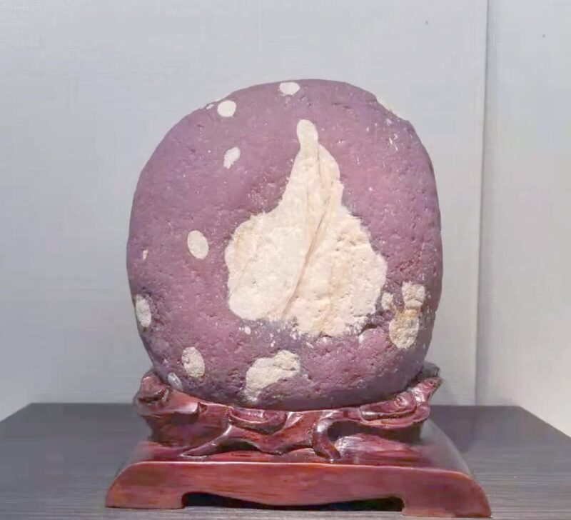 2fdda3cc7cd98d10eb202ebc92047e017aec9016.jpeg@f_auto