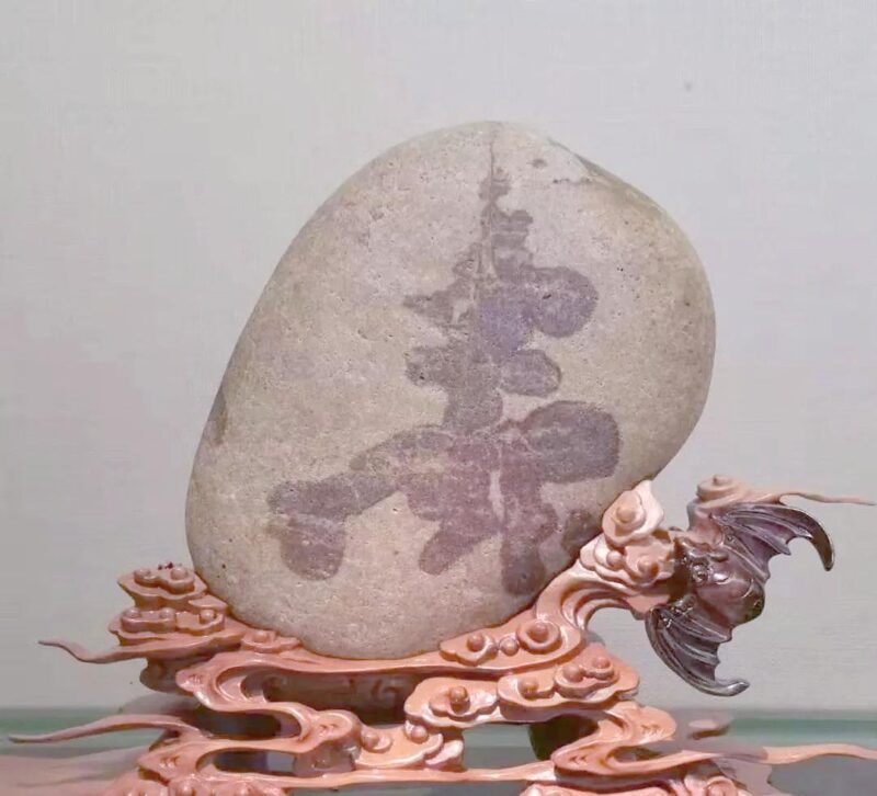 7c1ed21b0ef41bd53a241809e2e147c438db3da7.jpeg@f_auto