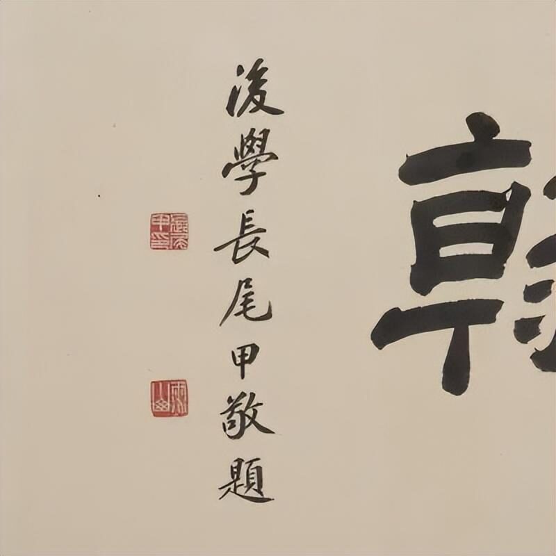 8601a18b87d6277f25829519dd88cb3fe824fc44.jpeg@f_auto