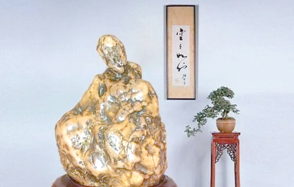 奇石收藏｜为何很多书画家爱奇石？