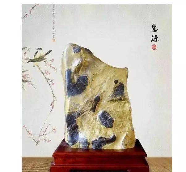 c9516160e30d43798ced4647c0a981e4