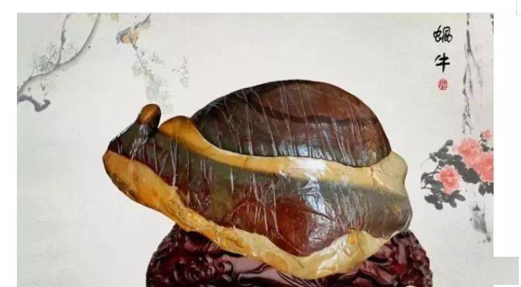 奇石收藏｜奇石的位置摆放方位与讲究