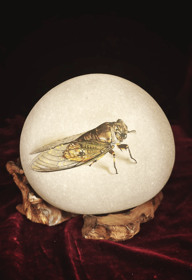 e6530b865c45f14bbcd5ed6390a3fc78