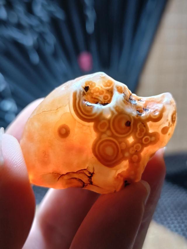 f7246b600c338744e97b610c78b67df6d62aa048.jpeg@f_auto