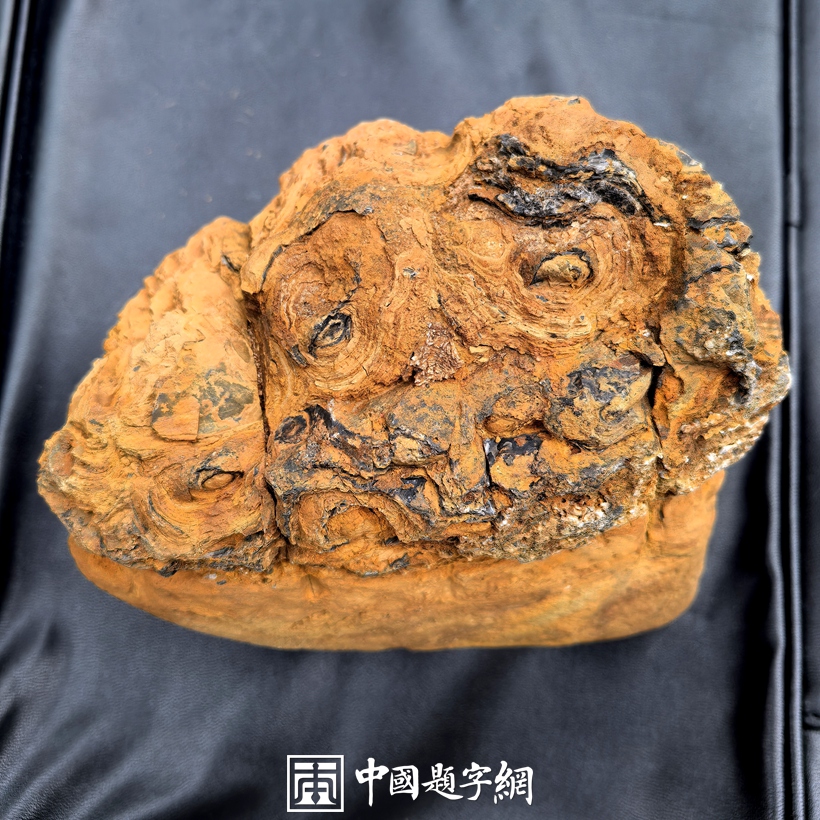 什么是金海石？用金线勾勒山海画的著名观赏石