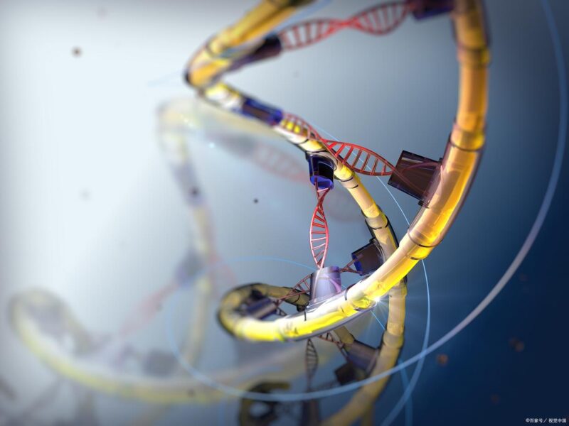 738b4710b912c8fc45ad35ee4ee1094ad78821ad.jpeg@f_auto 738b4710b912c8fc45ad35ee4ee1094ad78821ad.jpeg@f_auto