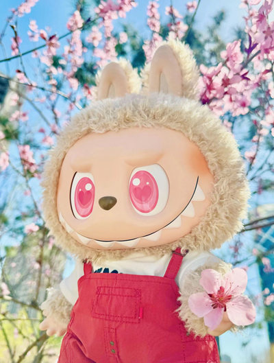 相信下一个LABUBU 已悄然在路上