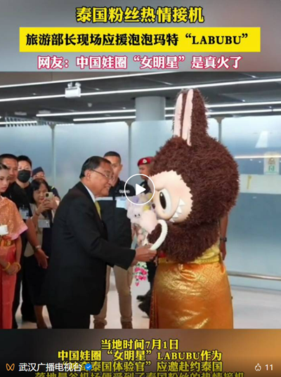 W020250622396879303154 W020250622396879303154