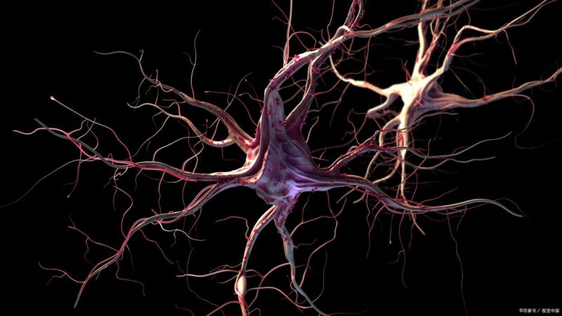 走近科学｜中国科学十大科技进展发布