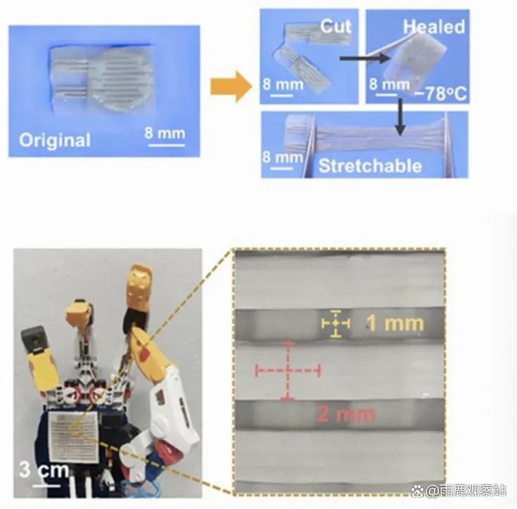 c8ea15ce36d3d5390b69efb5f1ab145e352ab028.jpeg@f_auto