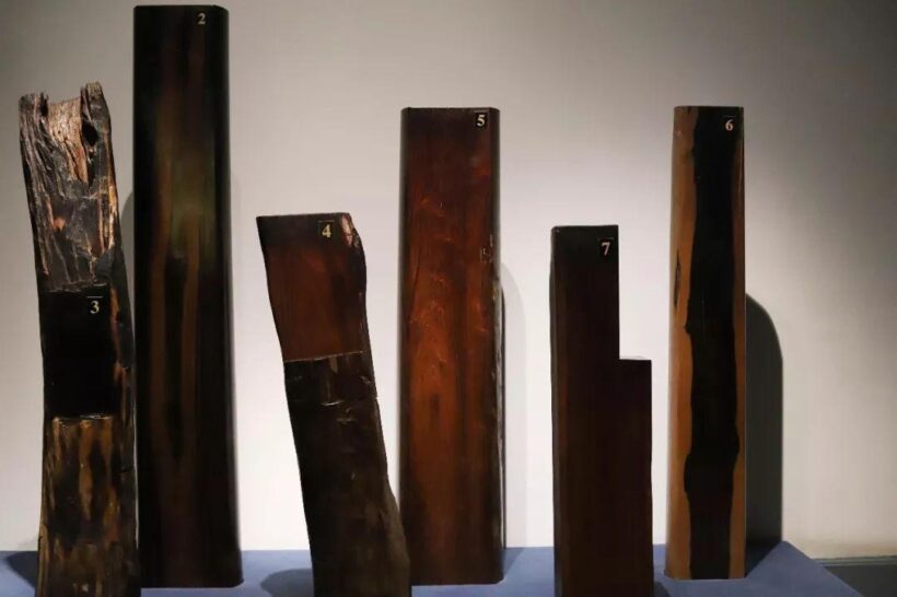 4034970a304e251f68131b9e00c9801d7e3e534e.jpeg@f_auto