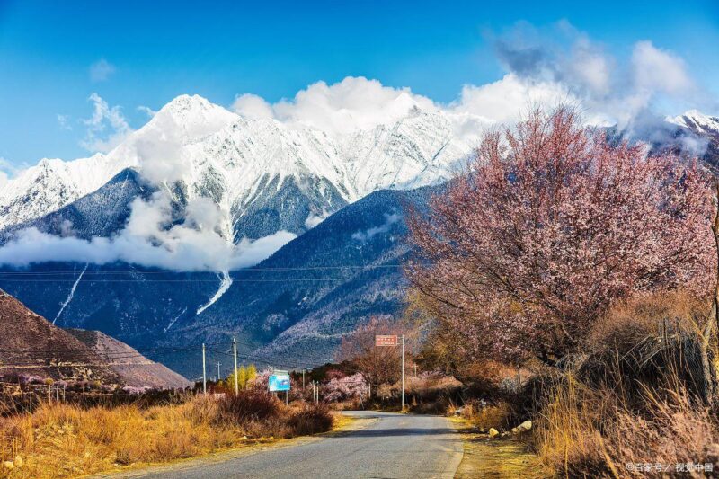 9345d688d43f8794ebdbdbb1d509dafb1bd53a2e.jpeg@f_auto