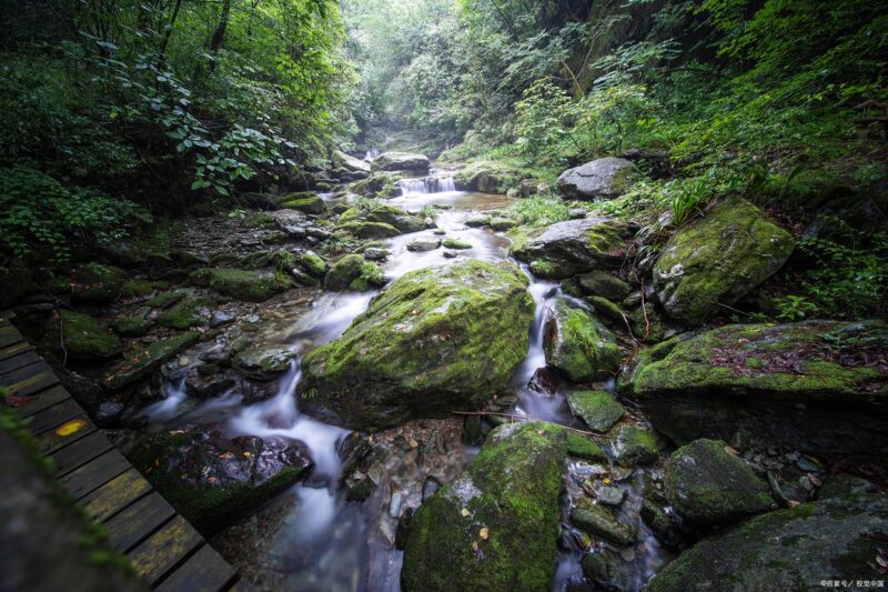 9c16fdfaaf51f3de3fa9d948482825103b2979dd.jpeg@f_auto