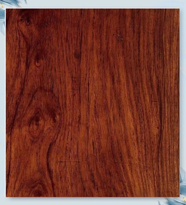 ced879a2ddbcecadb15cb6b72647edff