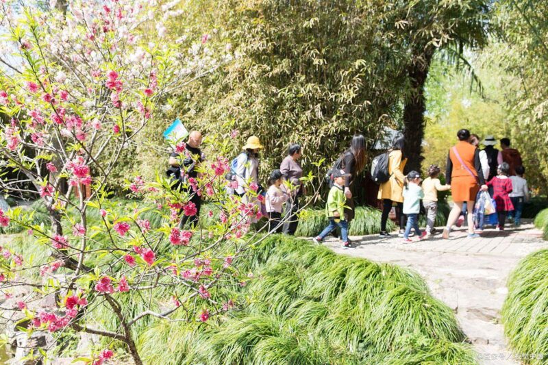 银发族旅游常踩的 3 个坑，尤其第三个