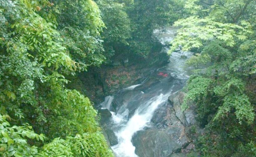 0823dd54564e92588e74290be864e648cebf4e8d.jpeg@f_auto