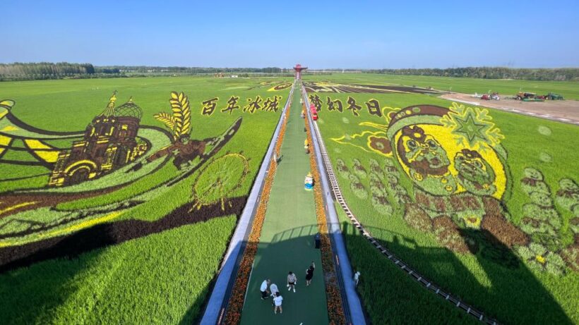 202508154398d70eea04429484119074a45c1b16_3f9751562af14202971cc1a9810f19ce