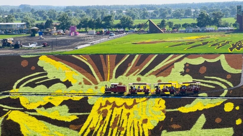 文旅新探|哈尔滨“艺术农场”：一田诗画解乡愁