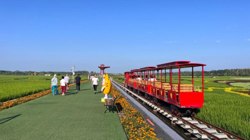 202508154398d70eea04429484119074a45c1b16_5fe71c30f2ce4068abce32d7dfac2a6f