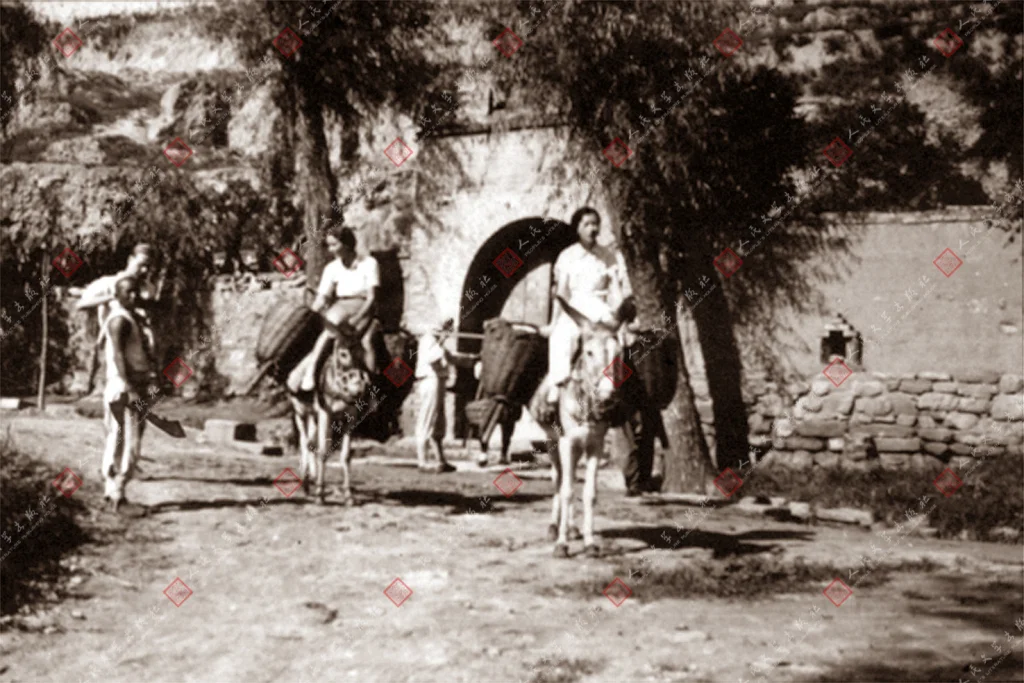 30E95EF29A9FE4DA88A14B7DE5787077860EBAED_size562_w1024_h683