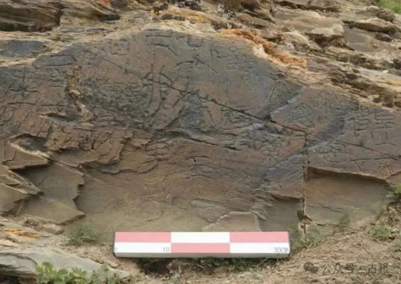 09八斗苑名家书画定制7jiqj_