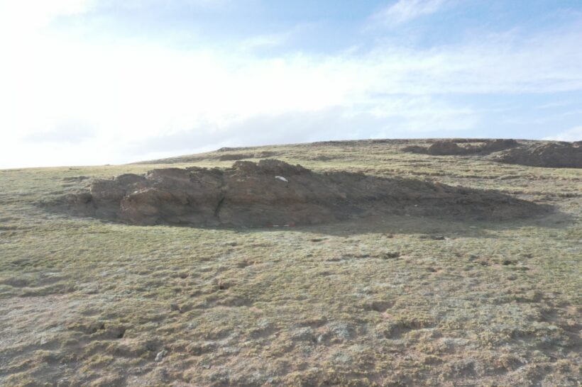 09八斗苑名家书画定制95m6p_