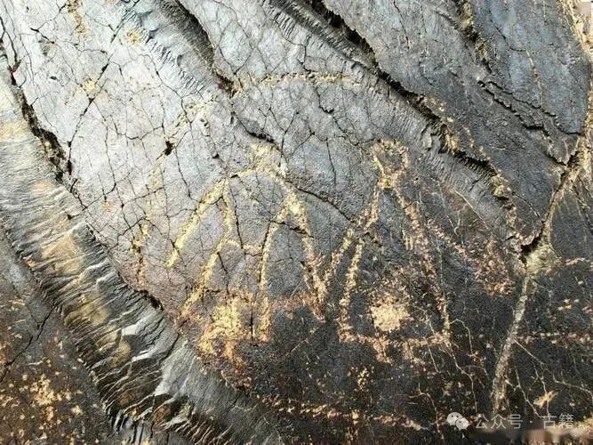 09八斗苑名家书画定制d4xht_