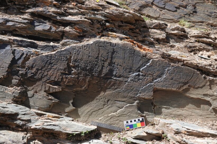 09八斗苑名家书画定制l6vzw_