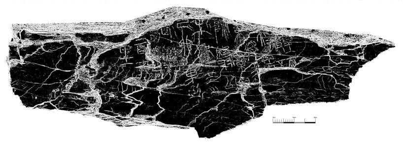 09八斗苑名家书画定制ovhkh_