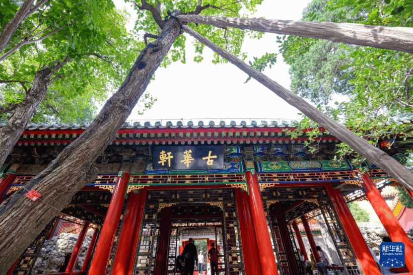 10八斗苑名家书画定制37tft_ 10八斗苑名家书画定制37tft_