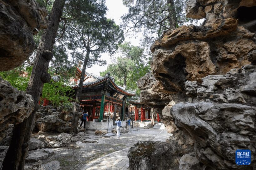 10八斗苑名家书画定制82gvt_ 10八斗苑名家书画定制82gvt_