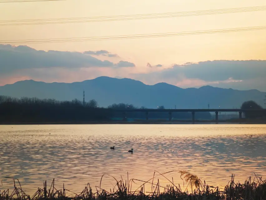 “中国学”何以是世界的？世界中国学大会现场观察