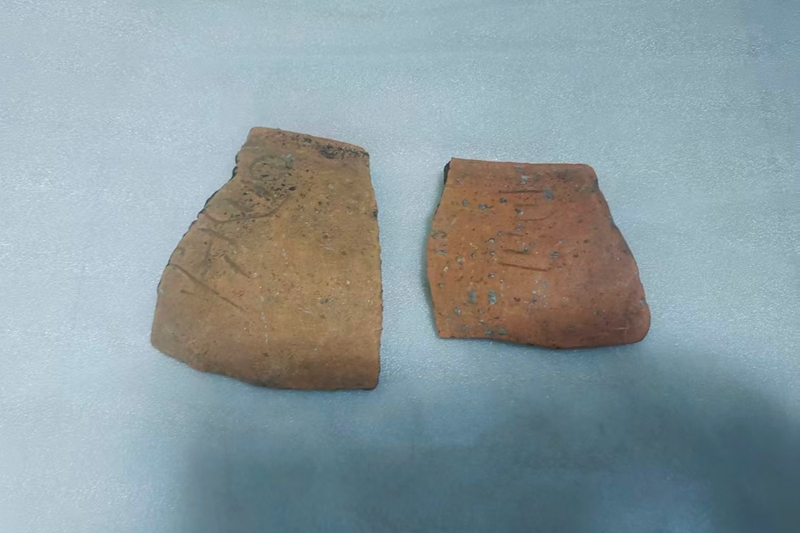 646b002f-af1a-44e8-aff1-89e25b916f23