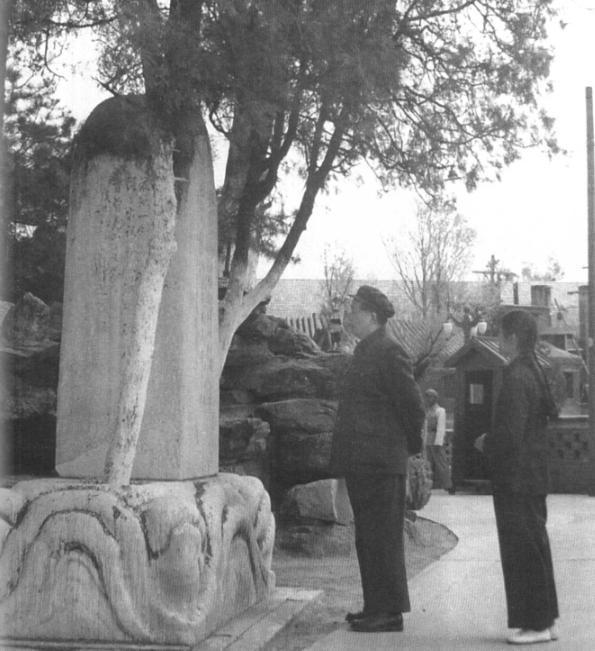 94cad1c8a786c917a620d223d34e63de3bc75709.jpeg@f_auto