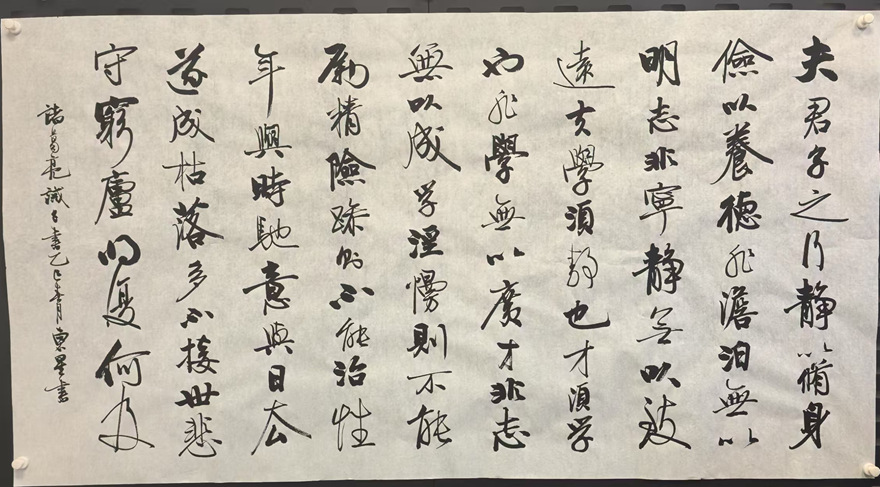 张东星书法欣赏：清雅秀丽 气韵贯通｜作品定制插图3