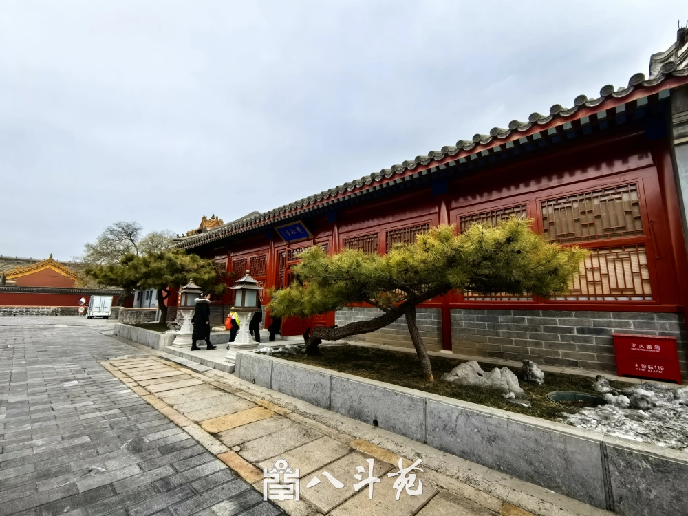 中华民族共同体意识：多元一体格局如何助力民族复兴