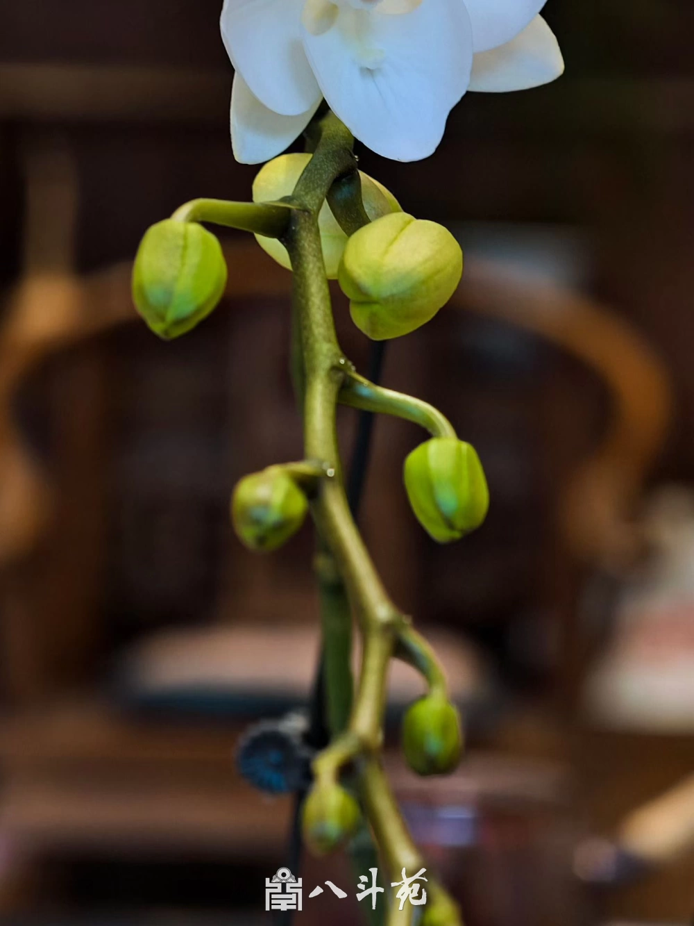 陈金超山水画中的哲学：解读“靠山”意境与当代价值