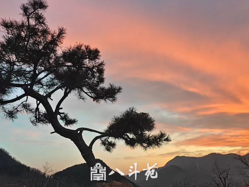 私人会所书画定制私密案例插图1