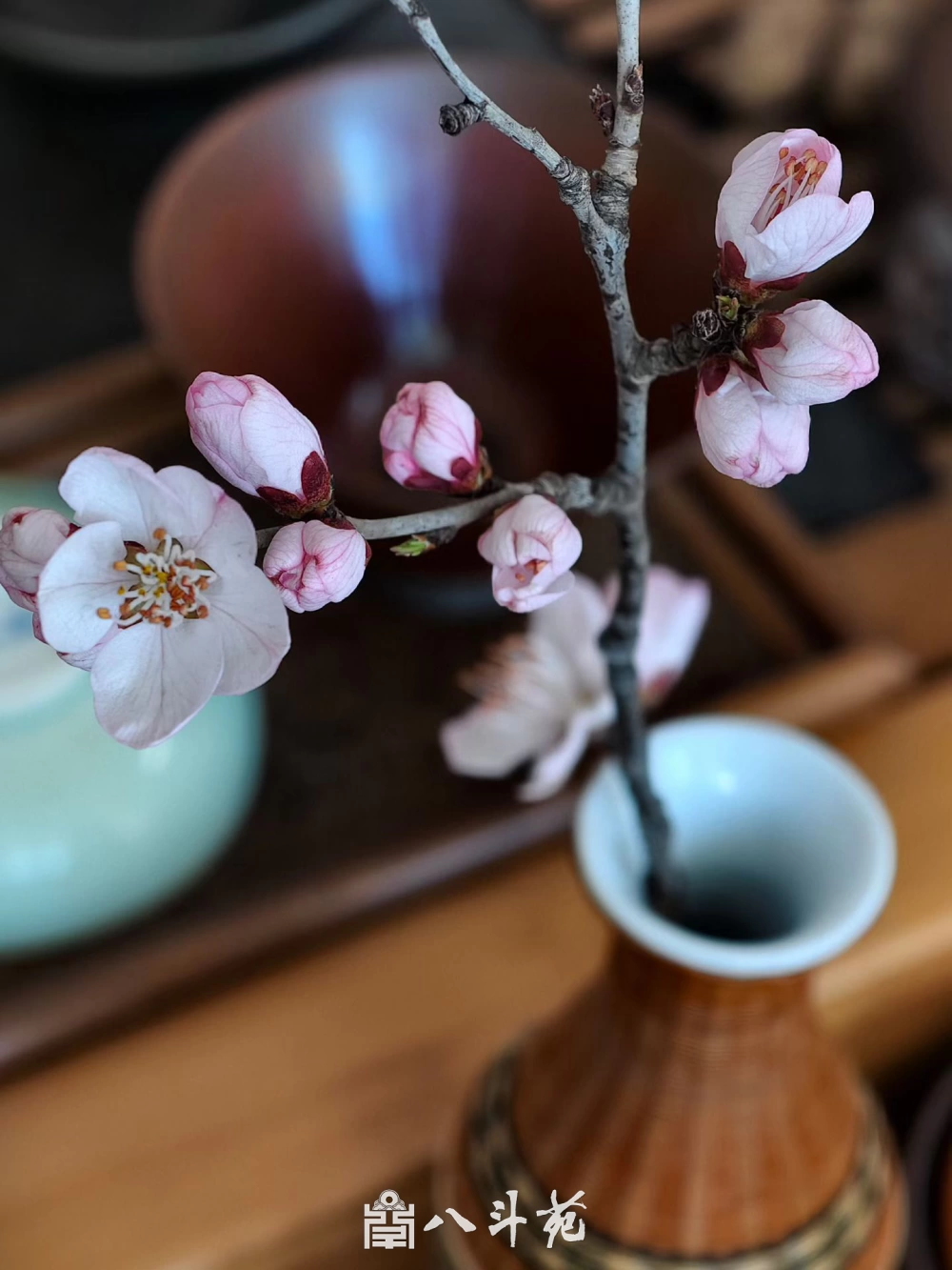 中华经典｜《老子》内容全览与解析